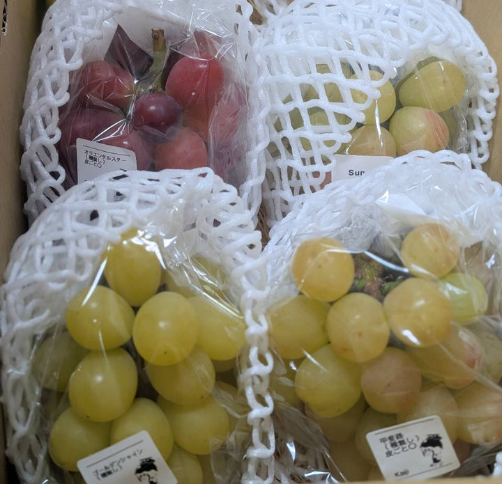 WINE GRAPE BOX – ワインを美しくする、料理になるぶどうセット（Mサイズ４房）