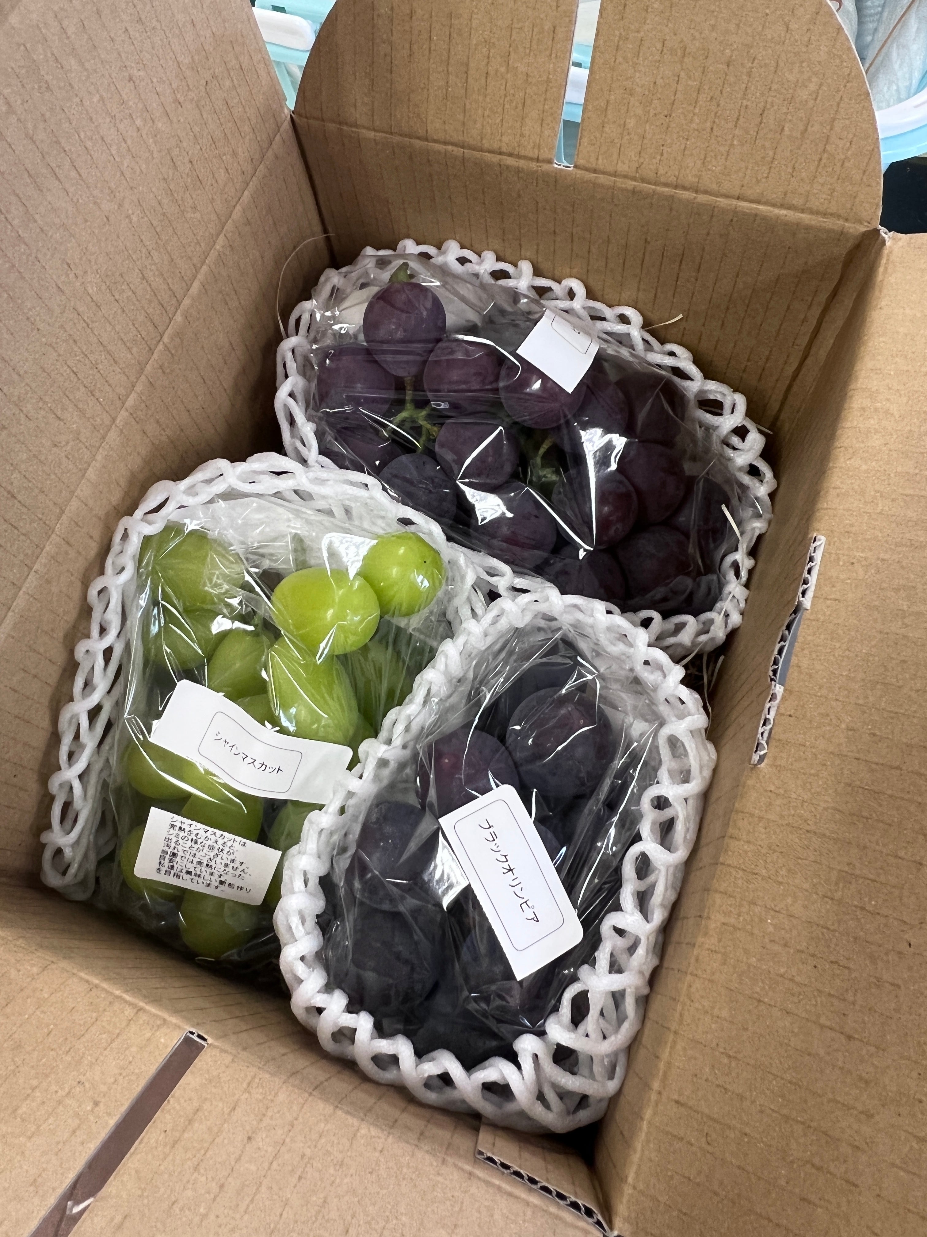 ご注文早割・送料無料】「贈答用ぶどうセット｜シャイン