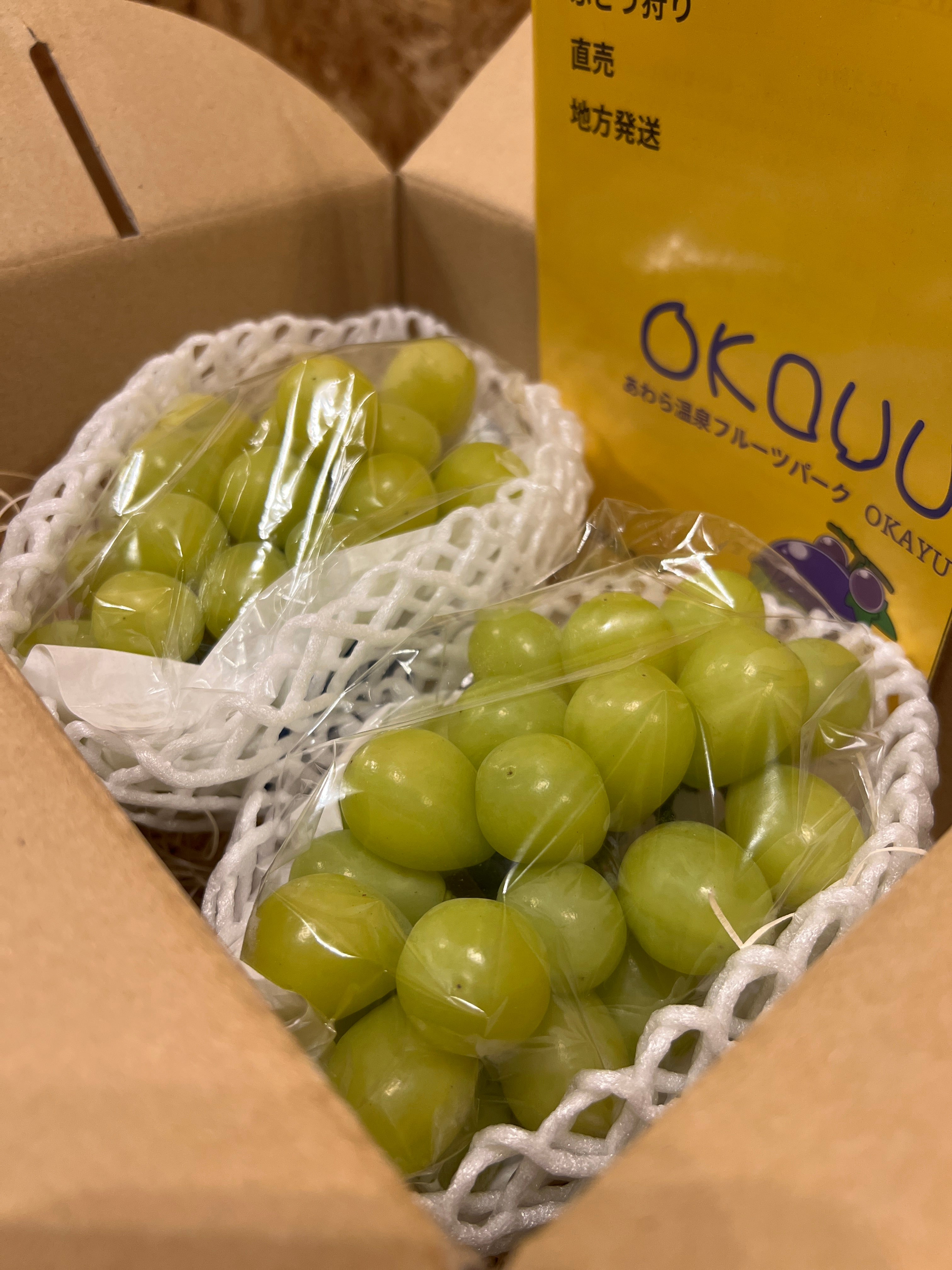 ご注文早割・送料無料】「贈答用ぶどうセット｜シャイン