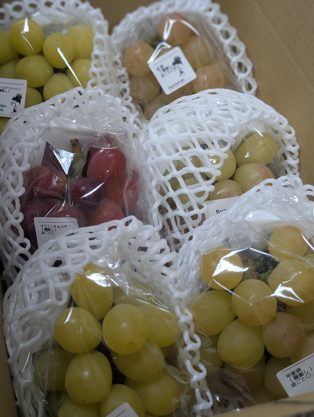 WINE GRAPE BOX – ワインを美しくする、料理になるぶどうセット（Lサイズ6房）